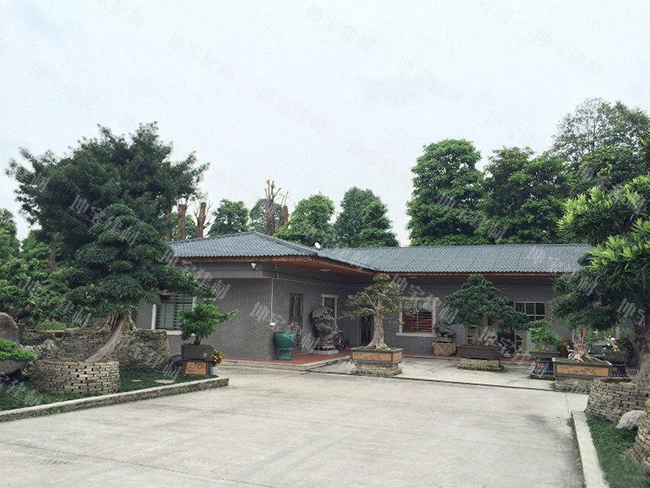 樹(shù)脂瓦農房