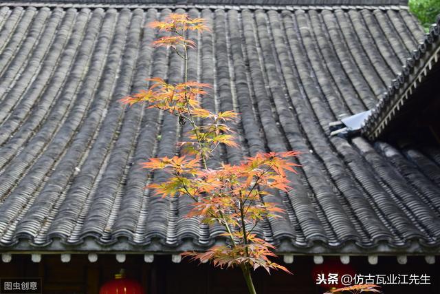 導讀：農村蓋房用樹(shù)脂瓦適合嗎？聽(tīng)完行家的分析，恍然大悟