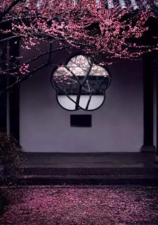 這樣的院子，只有中國人駕馭得了它！