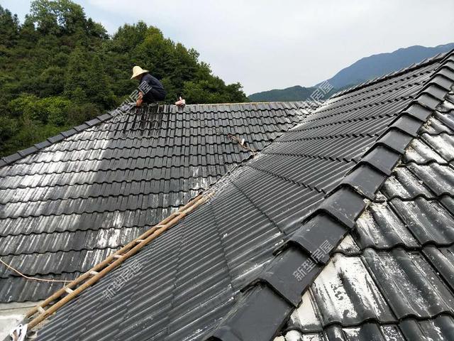 30元一平的樹(shù)脂瓦省錢(qián)又耐用？網(wǎng)友：吃飽沒(méi)事干，用一年就得換